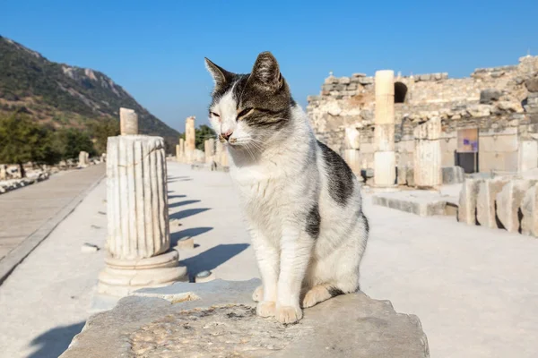 Oude stad Efeze in Turkije — Stockfoto