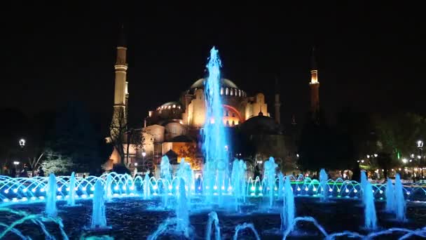 Mezquita Azul en Estambul — Vídeo de stock