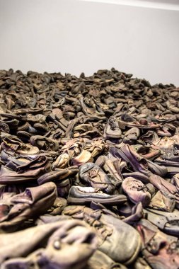 Auschwitz'de kurbanlarının çizmeler
