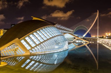 Valencia Sanat ve Bilim Şehri.
