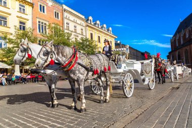Krakow 'daki ana meydanda at arabaları