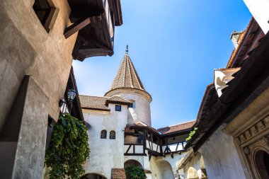 içinde transylvania Bran Şatosu