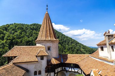 içinde transylvania Bran Şatosu