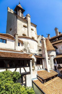 içinde transylvania Bran Şatosu