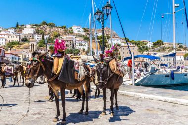 Hidra Adası Yunanistan