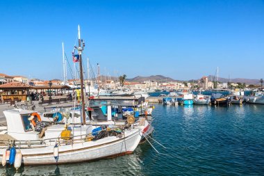 Aegina Island limanda