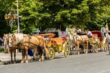 Lviv - Ukrayna tarihi merkezi