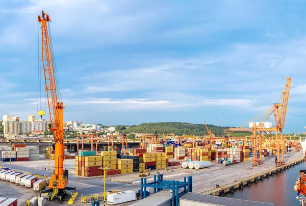 Djuphavsräka containerterminal i Gdansk — Stockfoto