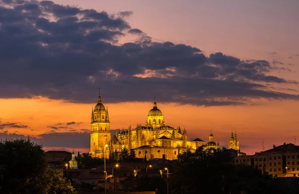 Kathedraal van salamanca — Stockfoto