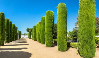 Cordoba Alcazar'ndaki bahçeler