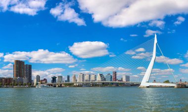 Rotterdam 'daki Erasmus Köprüsü
