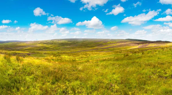 Campos de brezo en Escocia — Foto de Stock