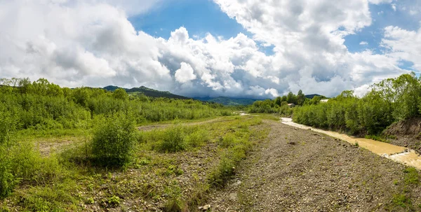 Dry river in summer day — Stock Photo, Image