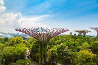 SINGAPORE - 23 Haziran 2019 'da Marina Körfezi Sands Oteli yakınlarındaki Singapur Körfezi yakınlarındaki Gardens' taki Supertree Grove
