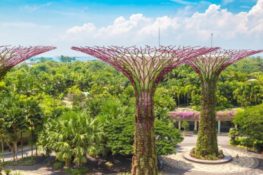 SINGAPORE - 23 Haziran 2019 'da Marina Körfezi Sands Oteli yakınlarındaki Singapur Körfezi yakınlarındaki Gardens' taki Supertree Grove