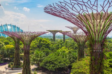 SINGAPORE - 23 Haziran 2019 'da Marina Körfezi Sands Oteli yakınlarındaki Singapur Körfezi yakınlarındaki Gardens' taki Supertree Grove