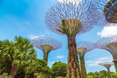 SINGAPORE - 23 Haziran 2019 'da Marina Körfezi Sands Oteli yakınlarındaki Singapur Körfezi yakınlarındaki Gardens' taki Supertree Grove
