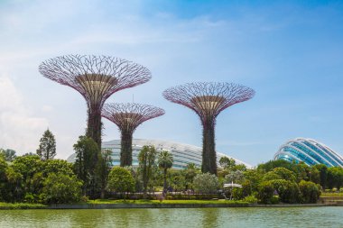 SINGAPORE - 23 Haziran 2019 Yaz günü Marina Körfezi Sands Oteli yakınlarındaki Singapur 'da bulunan Bay ve Singapur' daki Gardens 'taki Supertree Grove