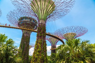 SINGAPORE - 23 Haziran 2019 