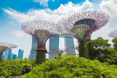 SINGAPORE - 23 Haziran 2019: The Supertree Grove and Skyway at Gardens by the Bay ve Marina Bay Sands Oteli yaz günü