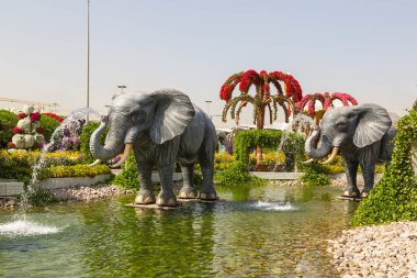 DUBAI, BİRLİK ARAB EMIRATES - 31 Ocak 2020: Güneşli bir günde Dubai mucizevi bahçesi, Birleşik Arap Emirlikleri