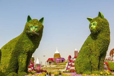 DUBAI, BİRLİK ARAB EMIRATES - 31 Ocak 2020: Güneşli bir günde Dubai mucizevi bahçesi, Birleşik Arap Emirlikleri