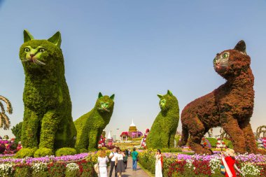 DUBAI, BİRLİK ARAB EMIRATES - 31 Ocak 2020: Güneşli bir günde Dubai mucizevi bahçesi, Birleşik Arap Emirlikleri