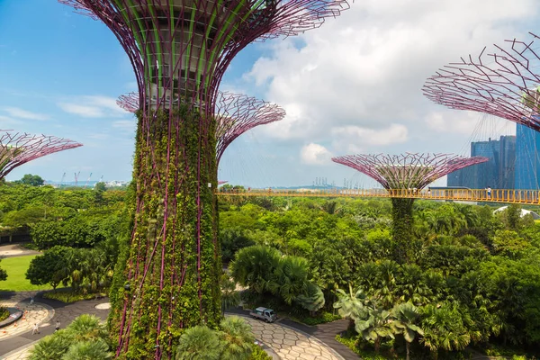 Singapore Června 2019 Supertree Grove Gardens Bay Singapore Marina Bay — Stock fotografie