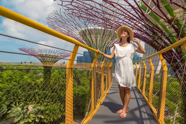 Singapore Haziran 2019 Singapur Körfezi Yakınlarındaki Gardens Taki Skyway Köprüsü — Stok fotoğraf