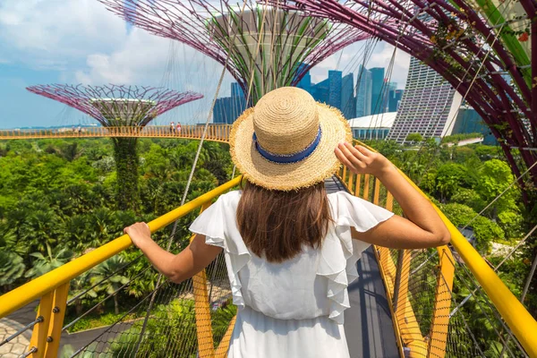 Singapore Haziran 2019 Singapur Körfezi Yakınlarındaki Gardens Taki Skyway Köprüsü — Stok fotoğraf