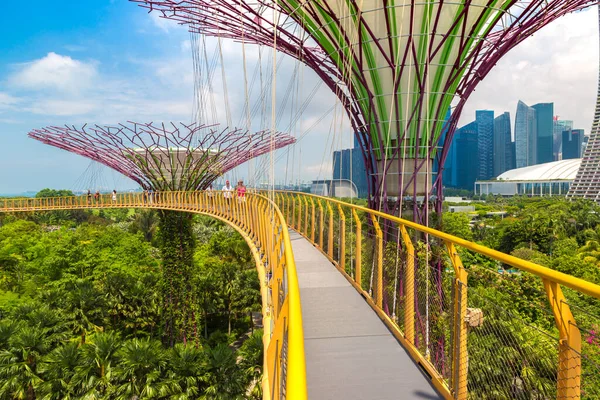 Singapore Haziran 2019 Supertree Grove Skyway Gardens Bay Singapur Marina — Stok fotoğraf