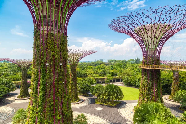 Singapore Junho 2019 Supertree Grove Skyway Gardens Bay Singapura Perto — Fotografia de Stock