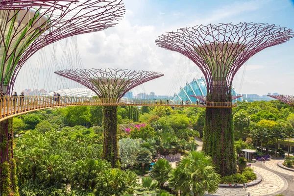 Singapore Června 2019 Supertree Grove Skyway Gardens Bay Singapore Marina — Stock fotografie