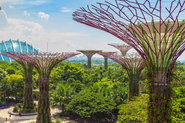 Singapore Junho 2019 Supertree Grove Gardens Bay Singapura Perto Hotel — Fotografia de Stock