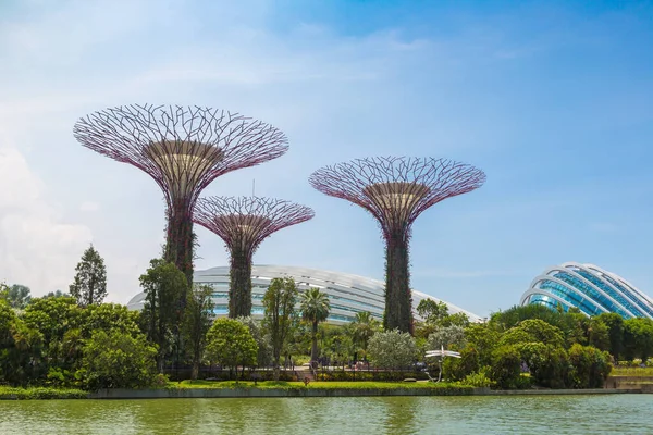 Singapur Juni 2019 Der Supertree Grove Gardens Bay Und Greenhouse — Stockfoto