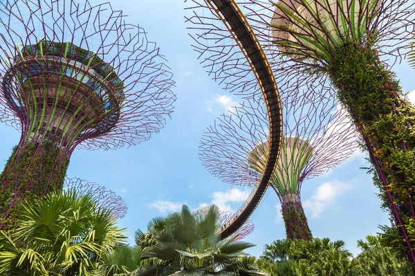 SINGAPORE - 23 Haziran 2019 