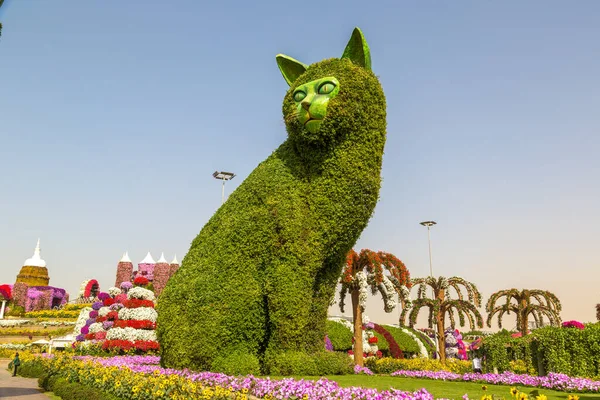 DUBAI, BİRLİK ARAB EMIRATES - 31 Ocak 2020: Güneşli bir günde Dubai mucizevi bahçesi, Birleşik Arap Emirlikleri