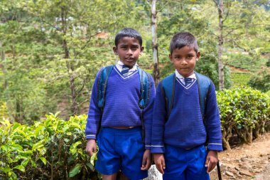 Nuwara Eliya, Sri Lanka 'daki çay çiftliklerinde iki öğrenci.