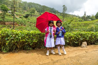 Nuwara Eliya, Sri Lanka 'daki çay çiftliklerinde iki okul ızgarası.