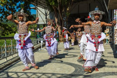 PINNAWALA, SRI LANKA - 12 Şubat 2020: Bir yaz gününde Sri Lanka 'da geleneksel düğün