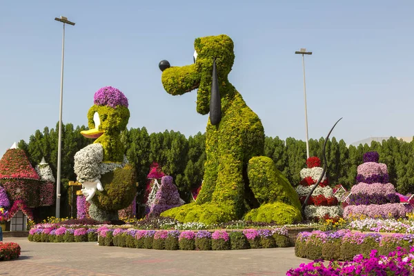 Dubai United Arab Emirates January 2020 Dubai Miracle Garden Sunny — Stock Photo, Image