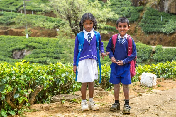 Garçon Fille Écoliers Dans Les Plantations Thé Nuwara Eliya Sri — Photo