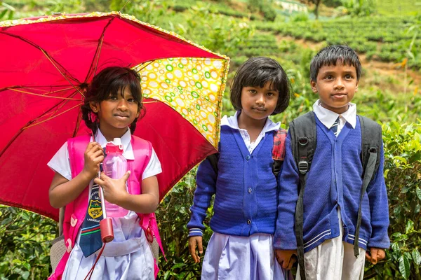 Garçons Filles Écoliers Dans Les Plantations Thé Nuwara Eliya Sri — Photo