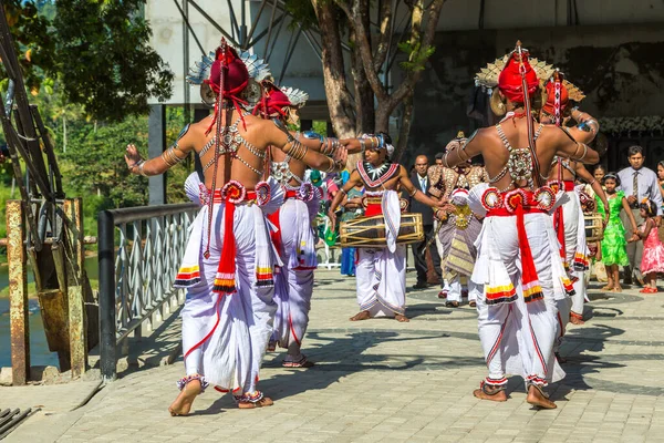 Pinnawala Sri Lanka 2020 Február Hagyományos Esküvő Srí Lankán Egy — Stock Fotó