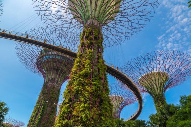 SINGAPORE - 23 Haziran 2019 