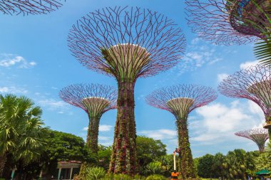 SINGAPORE - 23 Haziran 2019 'da Marina Körfezi Sands Oteli yakınlarındaki Singapur Körfezi yakınlarındaki Gardens' taki Supertree Grove