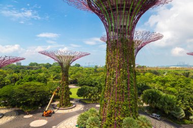 SINGAPORE - 23 Haziran 2019 'da Marina Körfezi Sands Oteli yakınlarındaki Singapur Körfezi yakınlarındaki Gardens' taki Supertree Grove