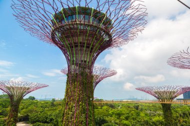 SINGAPORE - 23 Haziran 2019 'da Marina Körfezi Sands Oteli yakınlarındaki Singapur Körfezi yakınlarındaki Gardens' taki Supertree Grove