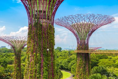 SINGAPORE - 23 Haziran 2019 'da Marina Körfezi Sands Oteli yakınlarındaki Singapur Körfezi yakınlarındaki Gardens' taki Supertree Grove