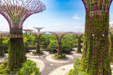 SINGAPORE - 23 Haziran 2019 'da Marina Körfezi Sands Oteli yakınlarındaki Singapur Körfezi yakınlarındaki Gardens' taki Supertree Grove
